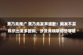 贾乃亮推广 贾乃亮发声道歉！网友不买账扒出更多新料，涉及黄晓明郑恺等明星