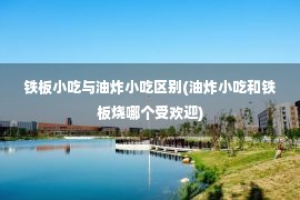 铁板小吃与油炸小吃区别(油炸小吃和铁板烧哪个受欢迎)