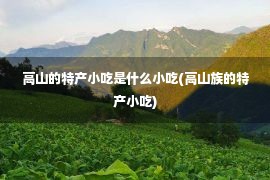 高山的特产小吃是什么小吃(高山族的特产小吃)