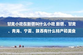 甘肃小吃在新疆叫什么小吃 新疆、甘肃、青海、宁夏、陕西有什么特产和美食？