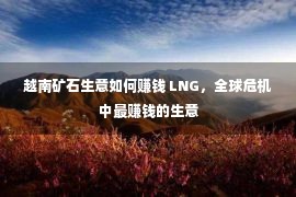 越南矿石生意如何赚钱 LNG，全球危机中最赚钱的生意