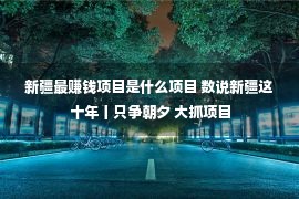 新疆最赚钱项目是什么项目 数说新疆这十年丨只争朝夕 大抓项目