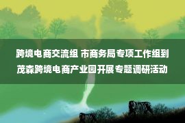 跨境电商交流组 市商务局专项工作组到茂森跨境电商产业园开展专题调研活动