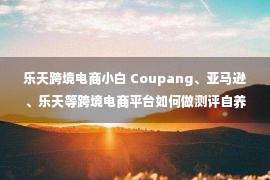 乐天跨境电商小白 Coupang、亚马逊、乐天等跨境电商平台如何做测评自养号？