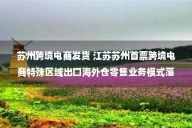 苏州跨境电商发货 江苏苏州首票跨境电商特殊区域出口海外仓零售业务模式落地