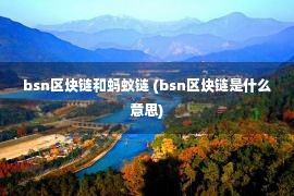 bsn区块链和蚂蚁链 (bsn区块链是什么意思)