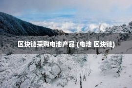 区块链采购电池产品 (电池 区块链)