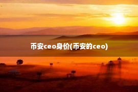 币安ceo身价(币安的ceo)