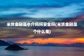 米贷金融是中介吗吗安全吗(米贷金融是个什么鬼)