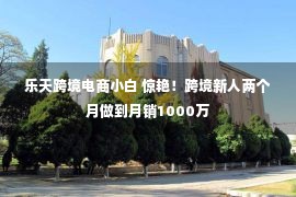 乐天跨境电商小白 惊艳！跨境新人两个月做到月销1000万