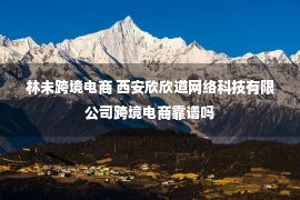 林未跨境电商 西安欣欣道网络科技有限公司跨境电商靠谱吗