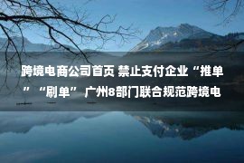 跨境电商公司首页 禁止支付企业“推单”“刷单” 广州8部门联合规范跨境电商