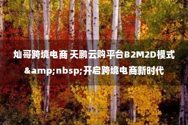 灿哥跨境电商 天鹏云购平台B2M2D模式&nbsp;开启跨境电商新时代