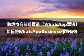 跨境电商前期营销 【WhatsApp营销】如何将WhatsApp Business作为有效的跨境电商营销工具？