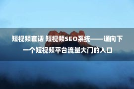 短视频套话 短视频SEO系统——通向下一个短视频平台流量大门的入口