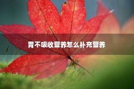 胃不吸收营养怎么补充营养 