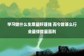 学习做什么生意最好赚钱 而今做甚么行业最佳做最赢利