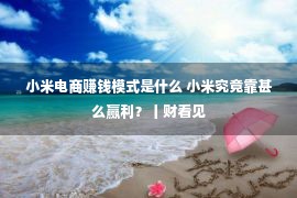 小米电商赚钱模式是什么 小米究竟靠甚么赢利？丨财看见