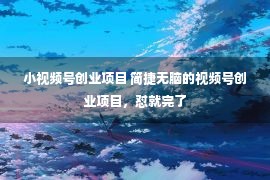 小视频号创业项目 简捷无脑的视频号创业项目，怼就完了