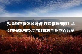 抖音粉丝多怎么赚钱 自媒体怎样做？瓜分我是怎样经过自媒体做到粉丝百万变现的！