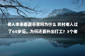 老人本来都很辛苦吗为什么 农村老人过了60岁后，为何还要外出打工？3个老人说出心里的苦