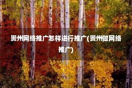 贵州网络推广怎样进行推广(贵州做网络推广)