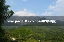 vivo pad护眼 (vivopad护眼功能)