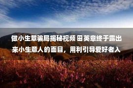 做小生意骗局揭秘视频 田英章终于露出来小生意人的面目，用利引导爱好者入印刷体道路