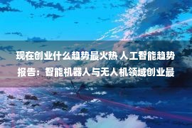 现在创业什么趋势最火热 人工智能趋势报告：智能机器人与无人机领域创业最火爆