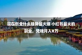 现在创业什么趋势最火爆 小红书最火的副业，凭啥月入8万