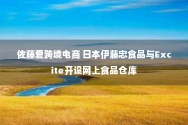 佐藤爱跨境电商 日本伊藤忠食品与Excite开设网上食品仓库