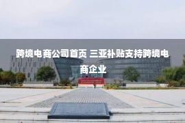 跨境电商公司首页 三亚补贴支持跨境电商企业