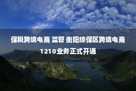 保税跨境电商 监管 衡阳综保区跨境电商1210业务正式开通