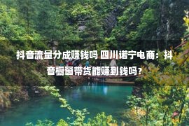 抖音流量分成赚钱吗 四川诺宁电商：抖音橱窗带货能赚到钱吗？