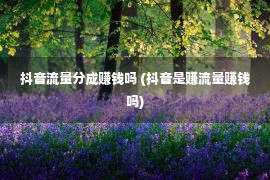 抖音流量分成赚钱吗 (抖音是赚流量赚钱吗)