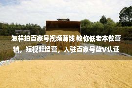 怎样拍百家号视频赚钱 教你低老本做营销，短视频经营，入驻百家号蓝V认证