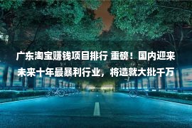 广东淘宝赚钱项目排行 重磅！国内迎来未来十年最暴利行业，将造就大批千万富翁！抓住一定致富！