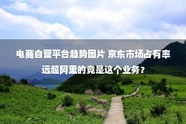 电商自营平台趋势图片 京东市场占有率远超阿里的竟是这个业务？