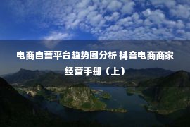 电商自营平台趋势图分析 抖音电商商家经营手册（上）