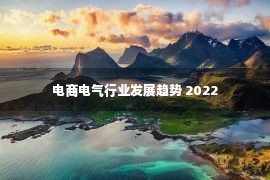 电商电气行业发展趋势 2022