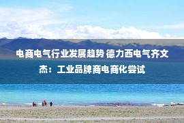 电商电气行业发展趋势 德力西电气齐文杰：工业品牌商电商化尝试