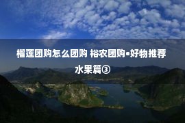 榴莲团购怎么团购 裕农团购•好物推荐 水果篇③