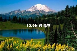 12.9团购 荐书