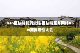 bsn区块链和蚂蚁链 区块链服务网络BSN商用启动大会