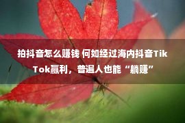 拍抖音怎么赚钱 何如经过海内抖音TikTok赢利，普遍人也能“躺赚”