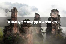 中国没有小生意吗 (中国无生意可做)