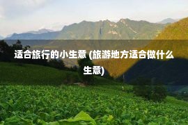 适合旅行的小生意 (旅游地方适合做什么生意)