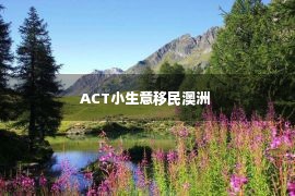 ACT小生意移民澳洲 