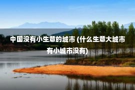 中国没有小生意的城市 (什么生意大城市有小城市没有)