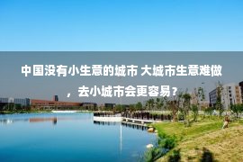 中国没有小生意的城市 大城市生意难做，去小城市会更容易？